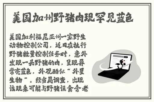 尾崎一美