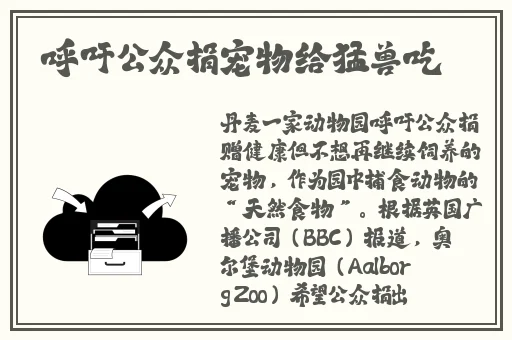 夏朵江临辉江清砚免费结局